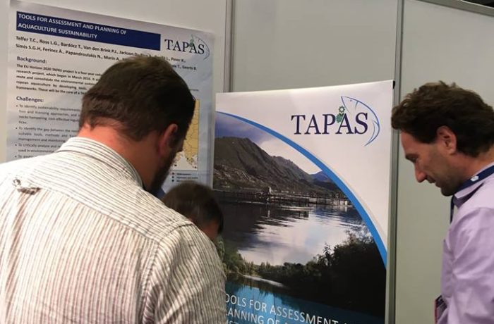 tapas_img_89